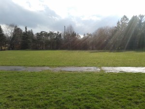 Evening Sunlight at Northdale Site on April 24, 2013