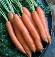 CARROTS